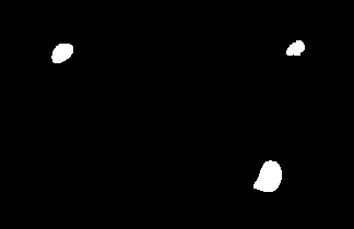 1735003454469