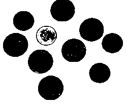 1735004926038