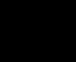 1735004957009